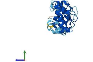 AlphaFold protein structure predicition of Human Recombinant CIB2 Protein, UniprotID O75838