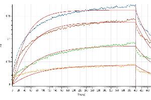 Loaded Human IL-3RA-Fc-Avi on Protein A Biosensor, can bind Human IL-3 with an affinity constant of 3.