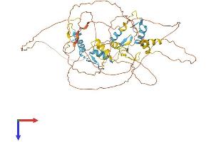 AlphaFold protein structure predicition of Human Recombinant IKZF4 Protein, UniprotID Q9H2S9