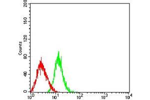 Flow cytometric analysis of HL-60 cells using CD50 mouse mAb (green) and negative control (red). (ICAM-3/CD50 anticorps  (AA 30-203))