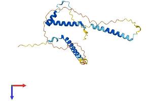 AlphaFold protein structure predicition of Human Recombinant GEMIN8 Protein, UniprotID Q9NWZ8
