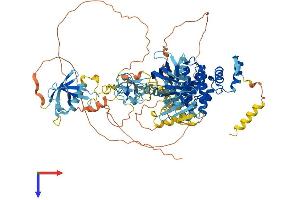 AlphaFold protein structure predicition of Human Recombinant PRKD1 Protein, UniprotID Q15139