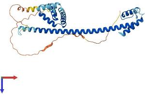 AlphaFold protein structure predicition of Mouse Recombinant Hmg20b Protein, UniprotID Q9Z104
