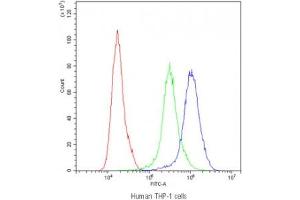 Flow cytometry testing of human THP-1 cells with PPT1 antibody at 1ug/10^6 cells (blocked with goat sera) (PPT1 anticorps)