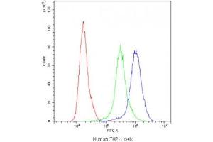 Flow cytometry testing of human THP-1 cells with PPT1 antibody at 1ug/10^6 cells (blocked with goat sera)