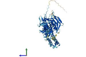 AlphaFold protein structure predicition of Human Recombinant ENC1 Protein, UniprotID O14682