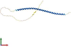 AlphaFold protein structure predicition of Human Recombinant MCEMP1 Protein, UniprotID Q8IX19