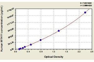 Typical standard curve (MYH11 Kit ELISA)