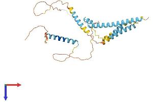 AlphaFold protein structure predicition of Human Recombinant CAMLG Protein, UniprotID P49069