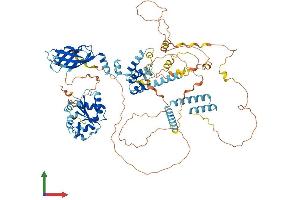 AlphaFold protein structure predicition of Human Recombinant PIK3AP1 Protein, UniprotID Q6ZUJ8