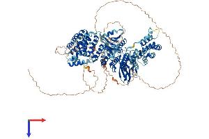 AlphaFold protein structure predicition of Human Recombinant AP3B1 Protein, UniprotID O00203