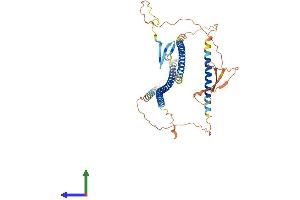 AlphaFold protein structure predicition of Mouse Recombinant Cby2 Protein, UniprotID Q32MG2