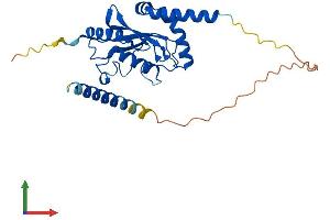 AlphaFold protein structure predicition of Human Recombinant UBE2J2 Protein, UniprotID Q8N2K1