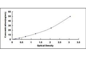 Typical standard curve (Nidogen Kit ELISA)