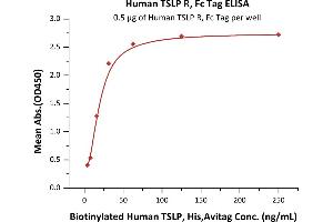 Immobilized Human TSLP R, Fc Tag (ABIN5954970,ABIN6253631) at 5 μg/mL (100 μL/well) can bind Biotinylated Human TSLP, His,Avitag (ABIN5954931,ABIN6253633) with a linear range of 4-31 ng/mL (QC tested). (CRLF2 Protein (AA 25-231) (Fc Tag))