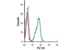 Cell surface detection of GPR84 in live intact mouse BV-2 microglia cells: (black line) Cells.