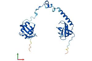 AlphaFold protein structure predicition of Mouse Recombinant Tbcb Protein, UniprotID Q9D1E6