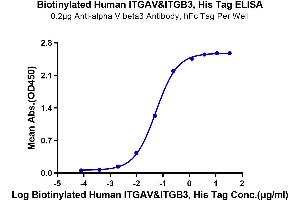 Immobilized Anti-alpha V beta3 Antibody, hFc Tag at 2 μg/mL (100 μL/well) on the plate.