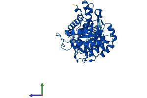 AlphaFold protein structure predicition of Human Recombinant DHODH Protein, UniprotID Q02127