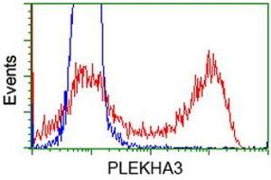 HEK293T cells transfected with either RC208433 overexpress plasmid (Red) or empty vector control plasmid (Blue) were immunostained by anti-PLEKHA3 antibody (ABIN2454555), and then analyzed by flow cytometry. (PLEKHA3 anticorps)