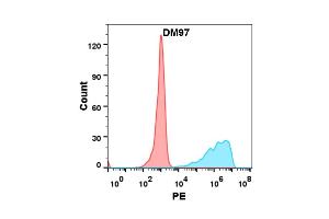 Flow cytometry analysis with Anti-B7-H2 (DM97) on Expi293 cells transfected with human B7-H2 (Blue histogram) or Expi293 transfected with irrelevant protein (Red histogram). (ICOSLG anticorps  (AA 19-256))
