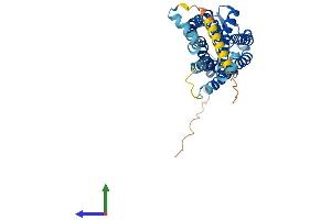 AlphaFold protein structure predicition of Mouse Recombinant P2ry4 Protein, UniprotID Q9JJS7