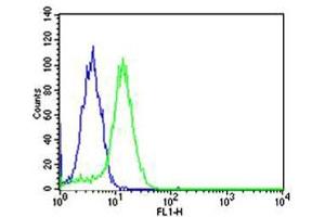 Flow cytometric analysis of Hela cells using USP11 Antibody (C-term )(green, Cat(ABIN1944797 and ABIN2838501)) compared to an isotype control of mouse IgG1(blue).