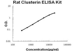 Rat Clusterin PicoKine ELISA Kit standard curve (Clusterin Kit ELISA)