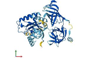 AlphaFold protein structure predicition of Mouse Recombinant Eef1a1 Protein, UniprotID P10126