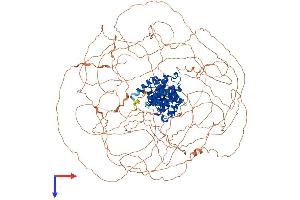 AlphaFold protein structure predicition of Human Recombinant CCNB3 Protein, UniprotID Q8WWL7