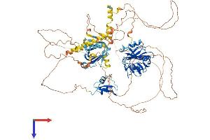 AlphaFold protein structure predicition of Mouse Recombinant Oxr1 Protein, UniprotID Q4KMM3