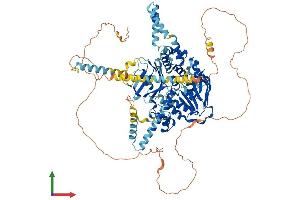AlphaFold protein structure predicition of Human Recombinant ABCF1 Protein, UniprotID Q8NE71