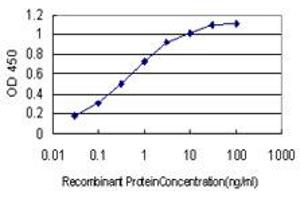 Detection limit for recombinant GST tagged CDR2 is approximately 0. (CDR2 anticorps  (AA 296-404))