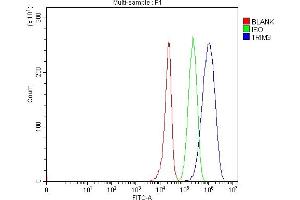 Flow Cytometry analysis of 293T cells using anti-TRIM3 antibody (ABIN7602441).