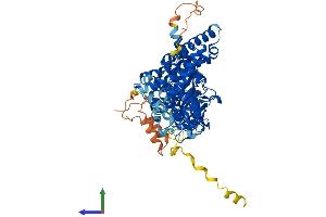 AlphaFold protein structure predicition of Mouse Recombinant Acoxl Protein, UniprotID Q9DBS4