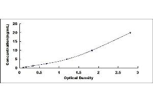 Typical standard curve (EPH Receptor A5 Kit ELISA)