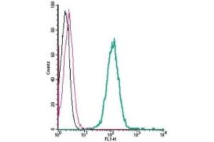 Cell surface detection of GPR183 by indirect flow cytometry in live intact human THP-1 monocytic leukemia cells: (black line) Cells.
