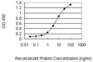 Detection limit for recombinant GST tagged RFX5 is 0.