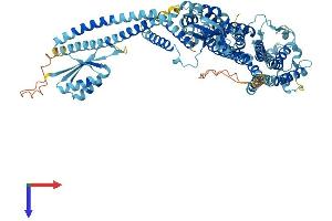 AlphaFold protein structure predicition of Human Recombinant ATP6V0A4 Protein, UniprotID Q9HBG4