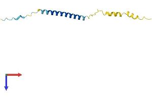 AlphaFold protein structure predicition of Mouse Recombinant Gypc Protein, UniprotID Q78HU7