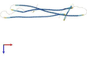 AlphaFold protein structure predicition of Mouse Recombinant Cchcr1 Protein, UniprotID Q8K2I2