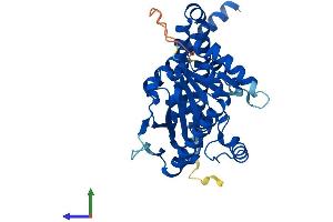 AlphaFold protein structure predicition of Mouse Recombinant Lpgat1 Protein, UniprotID Q91YX5