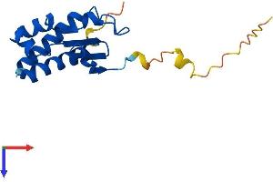 AlphaFold protein structure predicition of Mouse Recombinant Btg2 Protein, UniprotID Q04211