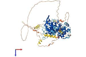 AlphaFold protein structure predicition of Mouse Recombinant Tcf25 Protein, UniprotID Q8R3L2