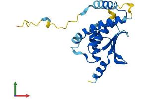 AlphaFold protein structure predicition of Mouse Recombinant Trappc5 Protein, UniprotID Q9CQA1