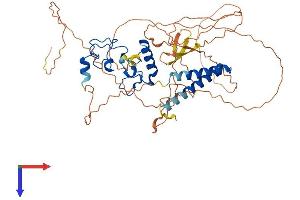 AlphaFold protein structure predicition of Human Recombinant TESMIN Protein, UniprotID Q9Y4I5