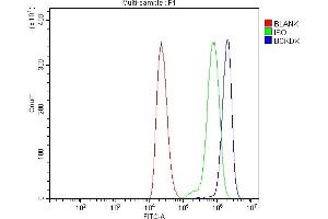 Flow Cytometry analysis of THP-1 cells using anti-BCKDK antibody (ABIN7601470). (BCKDK anticorps  (AA 36-316))