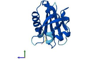 AlphaFold protein structure predicition of Mouse Recombinant Pfn3 Protein, UniprotID Q9DAD6
