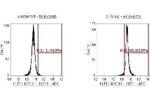Flow Cytometry (FACS) image for anti-Fumarate Hydratase (FH) (AA 44-510) antibody (APC) (ABIN5568704)