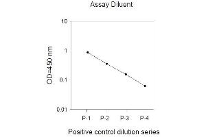 Mitogen-Activated Protein Kinase 14 (MAPK14) ELISA Kit